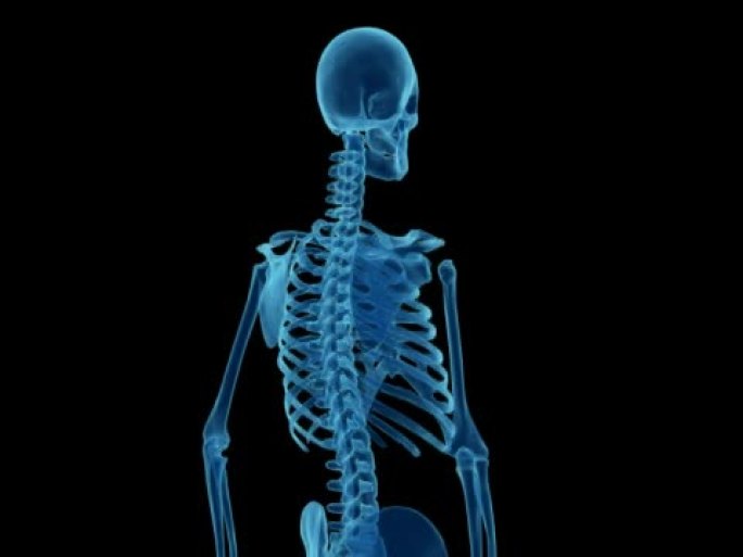 用于研究的人体骨骼X射线