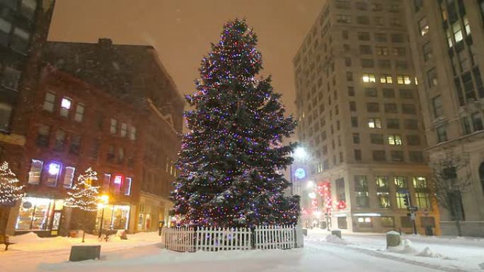 在波特兰度假波特兰度假下雪