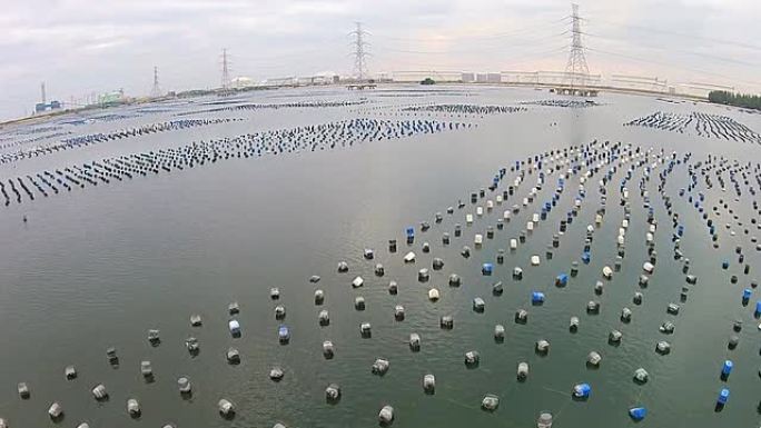 俯视图：泰国海岸的贻贝养殖场