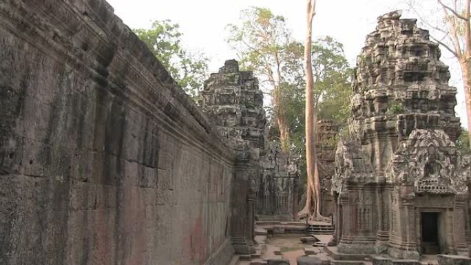 Ta Prohm Temple，吴哥，巨树与树根，柬埔寨