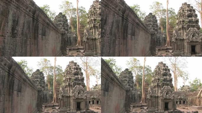Ta Prohm Temple，吴哥，巨树与树根，柬埔寨