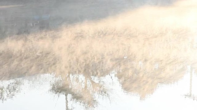 湖雾湖泊