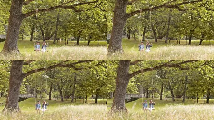 一个小男孩和一个女孩在一棵大树下摇摆