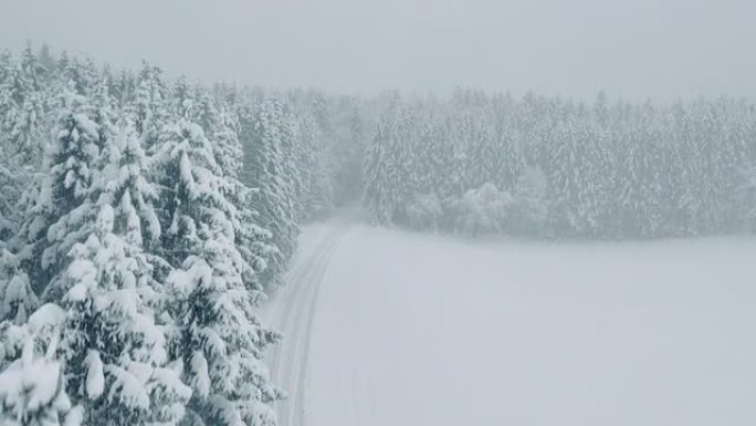 空中积雪覆盖的树木拥抱白色森林道路