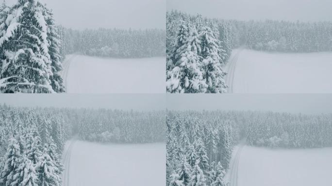 空中积雪覆盖的树木拥抱白色森林道路
