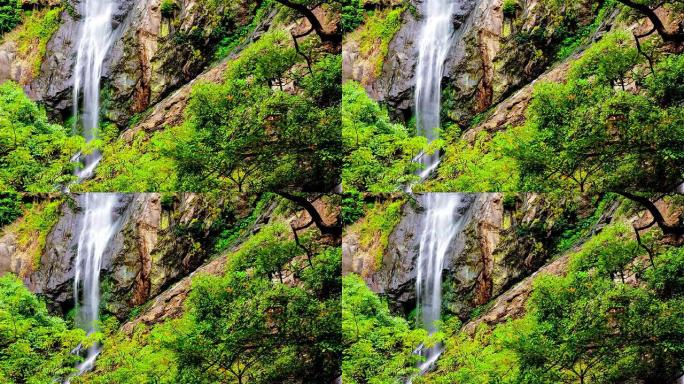 雨林中的瀑布延时瀑布绿树瀑布