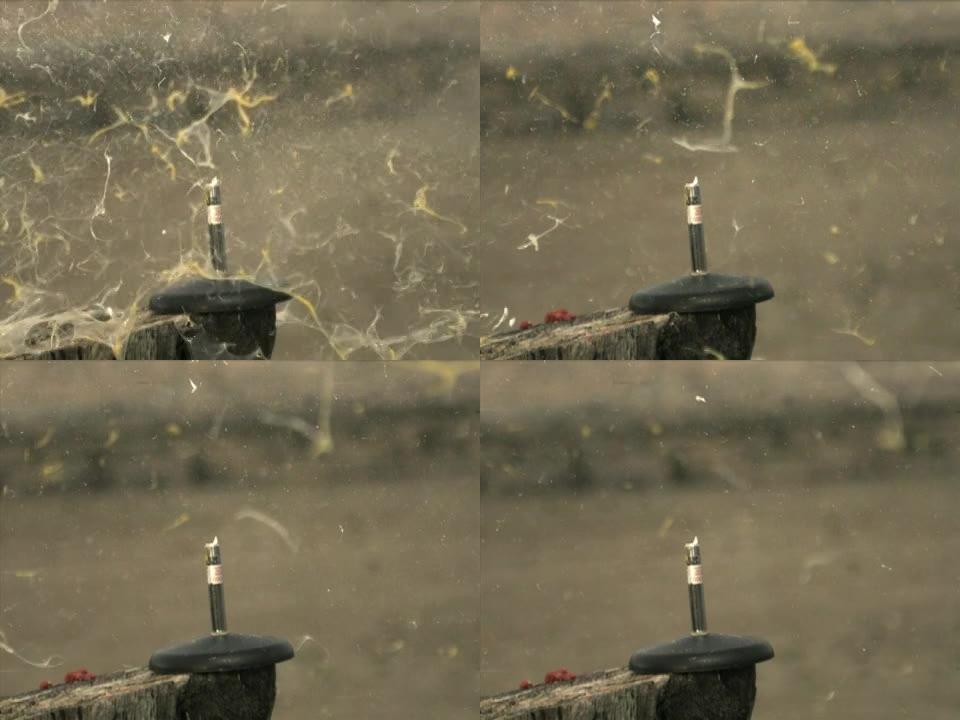 高速摄像机-蛋鸡蛋射击爆炸