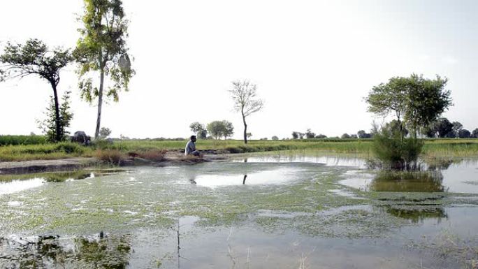 印度农村一个孤独的男人坐在池塘边