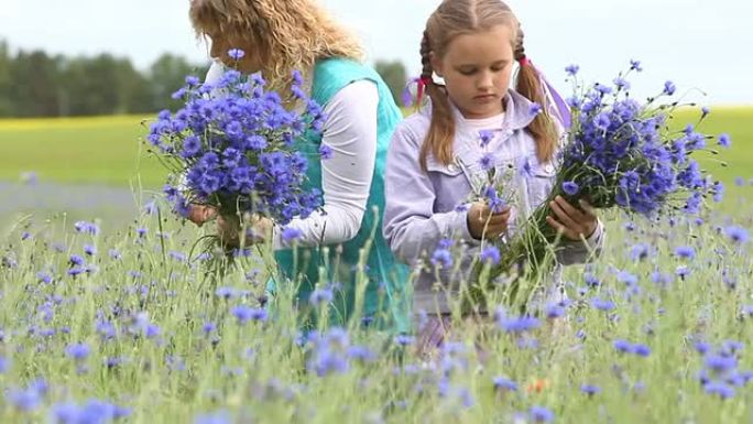 母亲和女儿在采花采摘蓝色小花花海郊游亲子