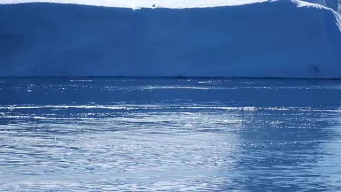 鲸鱼潜水非常接近鲸鱼大海海面喷水