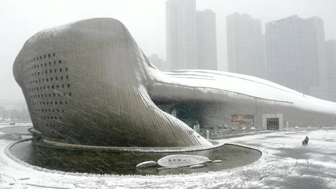 株洲地标 株洲博物馆雪景