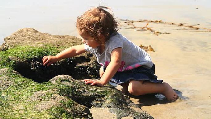 小女孩在海滩上玩耍
