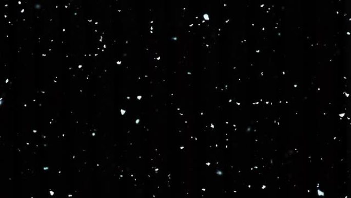 高清视频：黑暗背景下的真实自然降雪