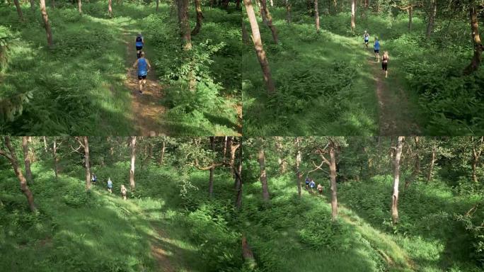 空中三人在森林小径上奔跑