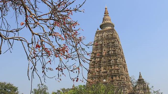 印度，摩诃菩提寺国外建筑国外景观地标国外