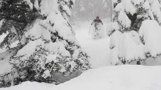 在深粉雪中进行乡村滑雪