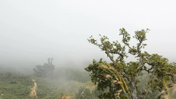 薄雾笼罩着群山清晨早晨晨雾生态环境神秘感