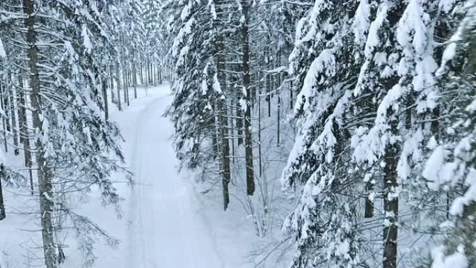 白雪皑皑的森林道路的空中拍摄