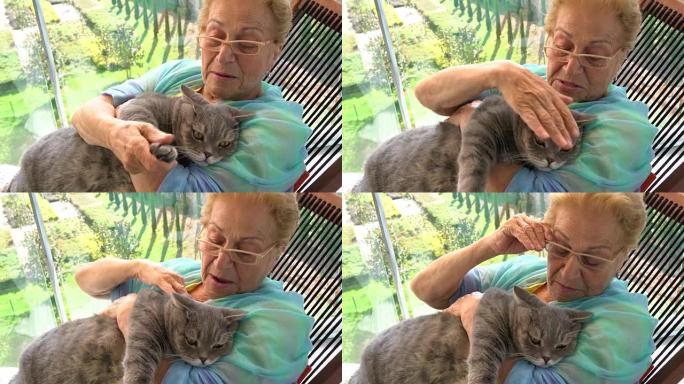 高级女人和她的猫