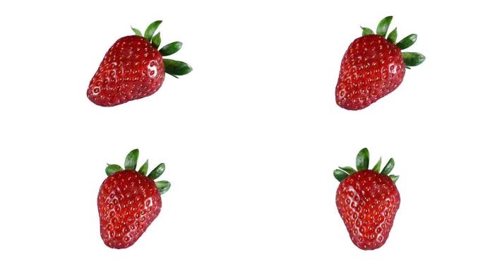 孤立草莓草莓单个草莓草莓旋转
