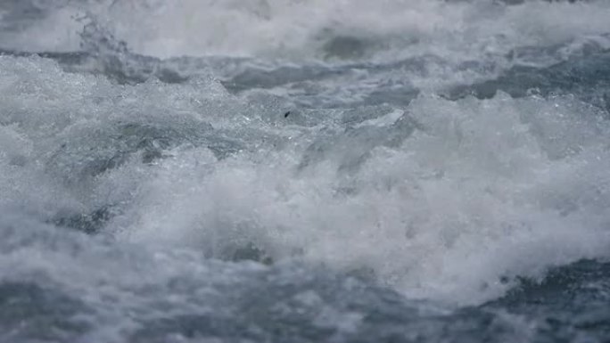 山中的野河