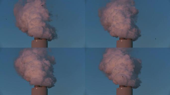 燃煤发电厂烟囱将烟气排放到空气中