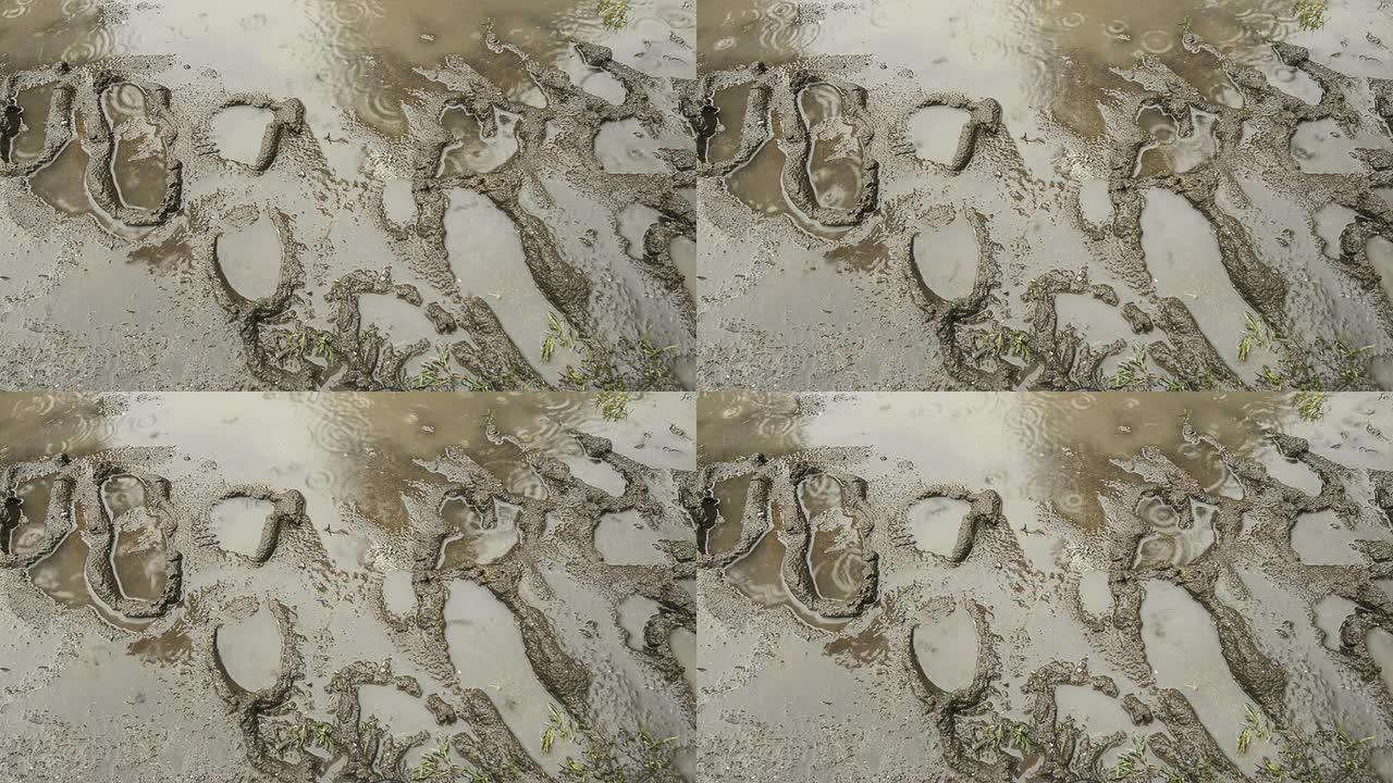 泥泞足迹中的雨滴