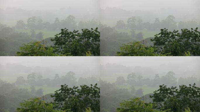 森林中的大雨森林航拍树林大景森林雾气