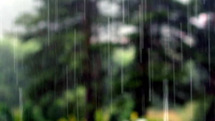 多雨的夏日