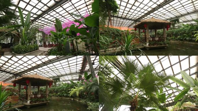 在热带植物的温室里。