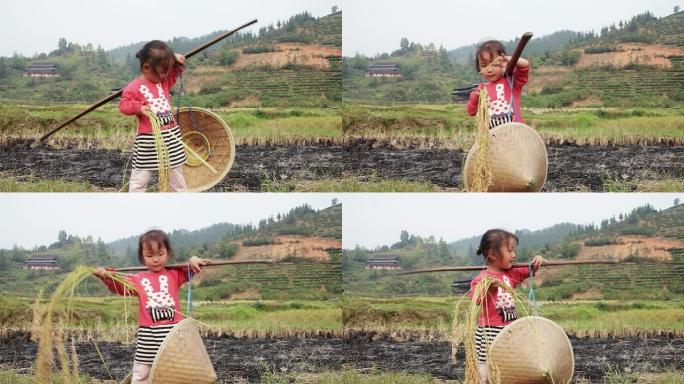 中国女孩在收割期间玩水稻