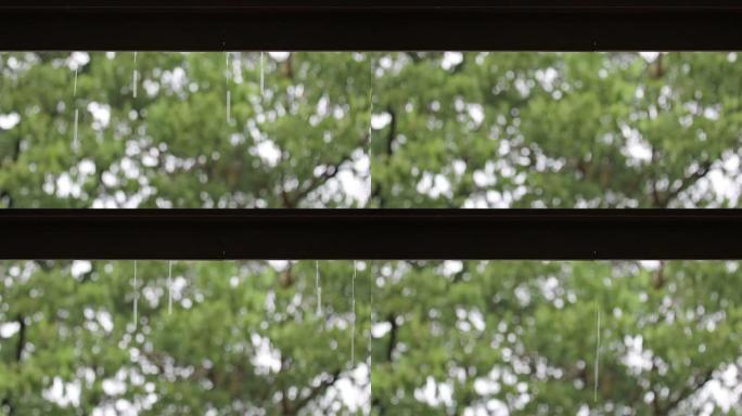 屋顶雨滴和绿树背景