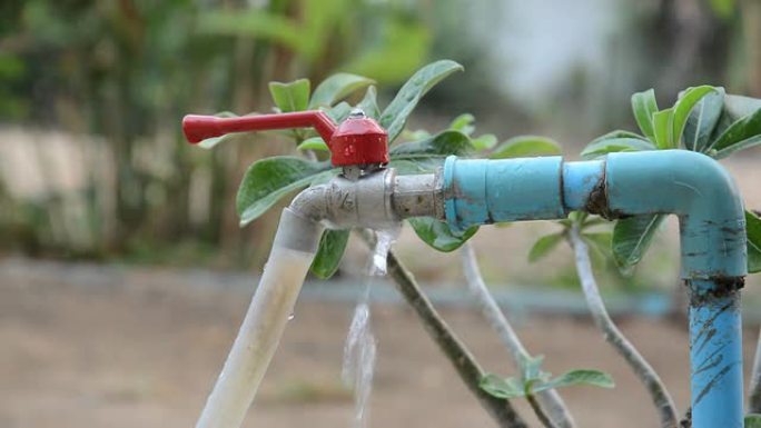 漏水水龙头漏水水龙头灌溉