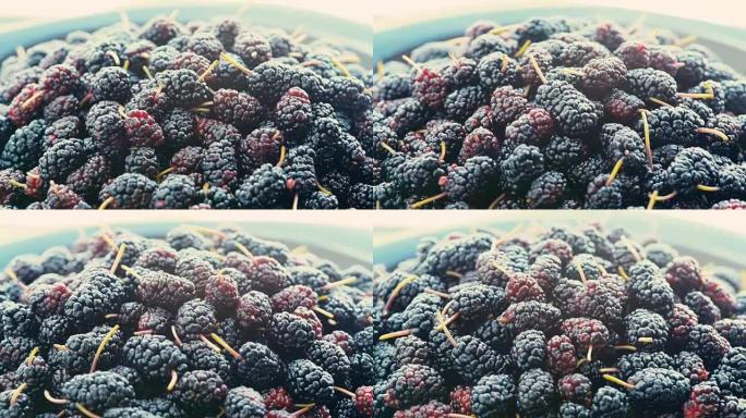 一堆浆果桑树，特写