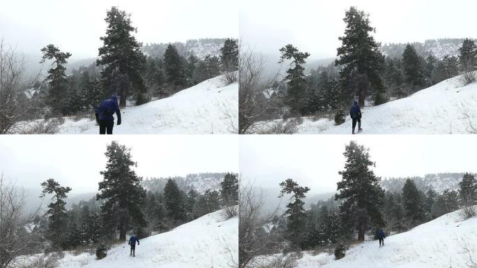 高清视频男子雪鞋雪山熊溪莫里森科罗拉多州