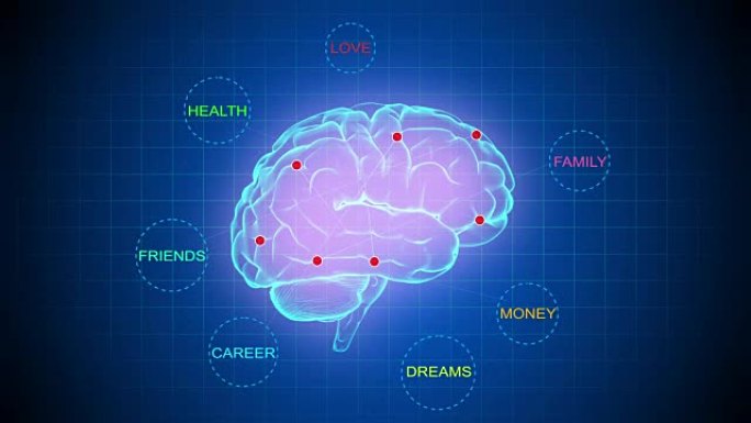大脑映射-生活中的重要事物-可循环