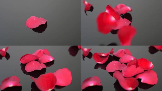 情人节落下的红色玫瑰花瓣