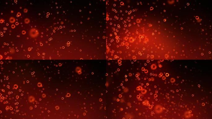 泡红细胞气泡