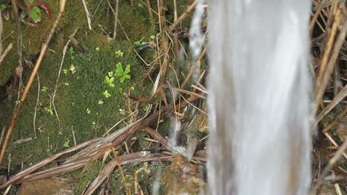 山上急流的特写