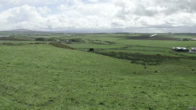 爱尔兰农场