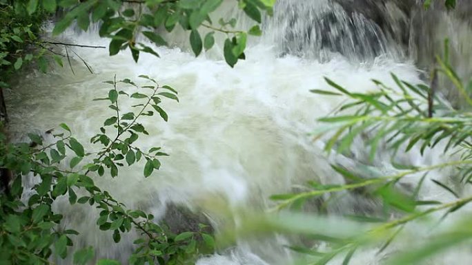 森林中的山溪山间溪流溪水山泉水