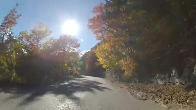 穿过混合森林的道路，GoPro