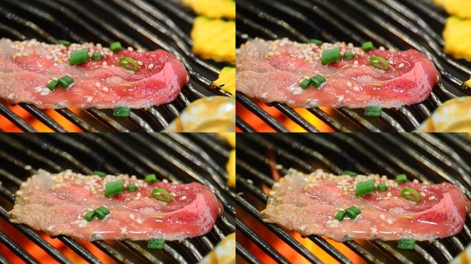 高清: 牛肉和肉类烧烤炉