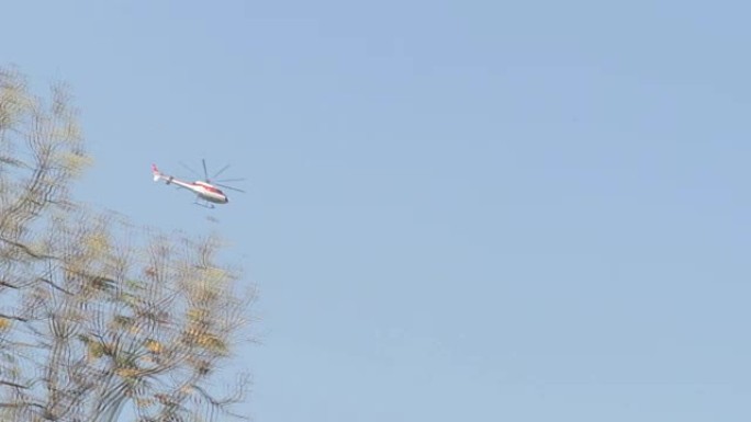 直升机飞过蓝天的树