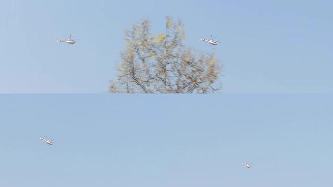 直升机飞过蓝天的树