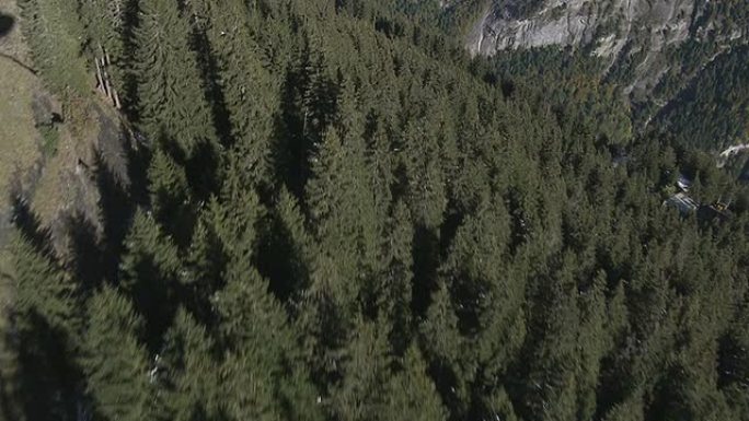 山脉和森林的鸟瞰图