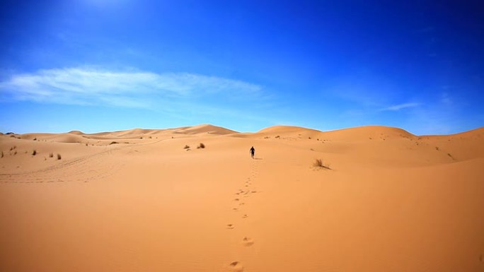 迷失的人行走在撒哈拉沙漠，高清视频