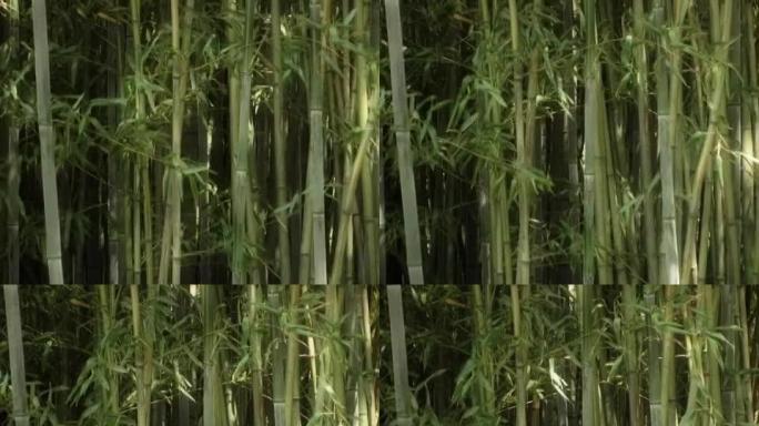 风中的竹子