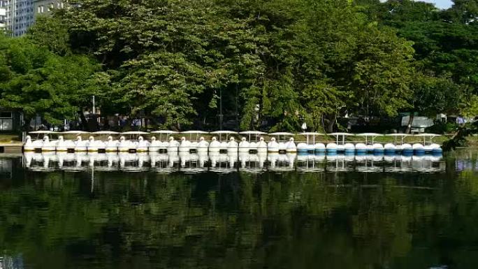 公园里的许多船公园里的许多船