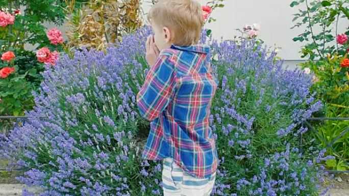 男孩从开花植物的花粉中打喷嚏